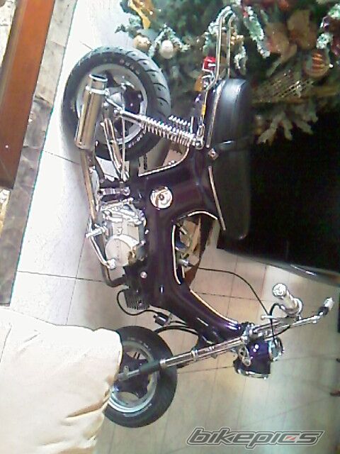 Photo 1964083