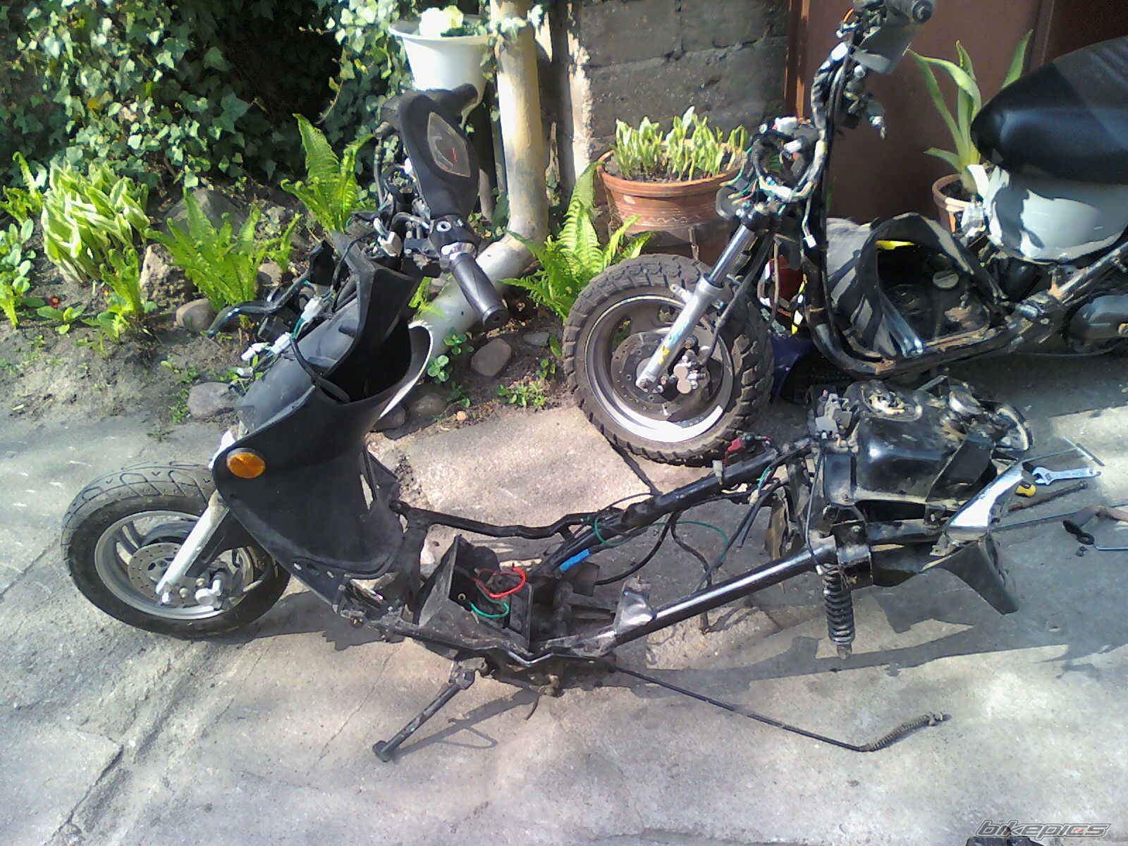 Bike Photo 1964192