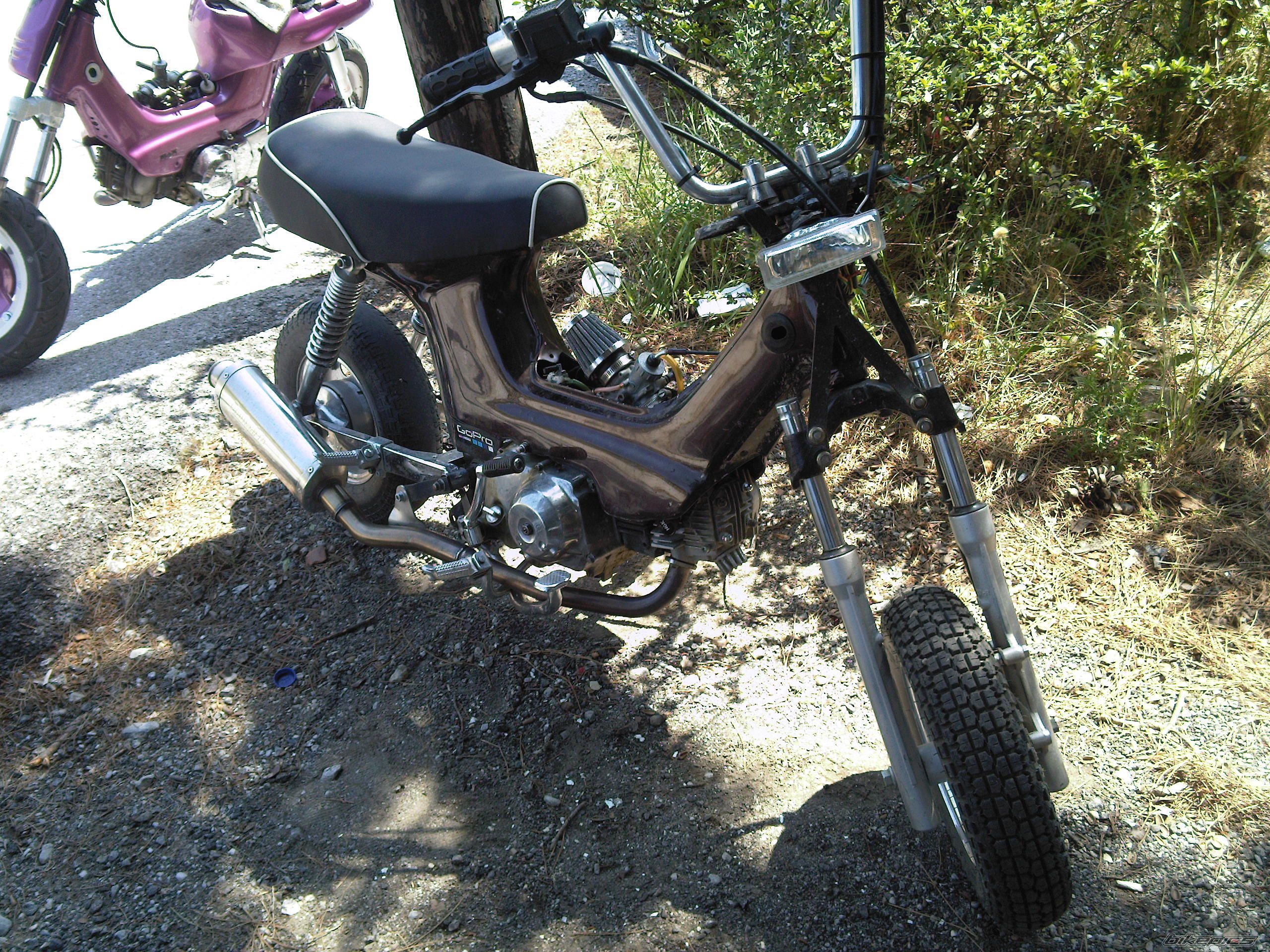 Photo 1964202