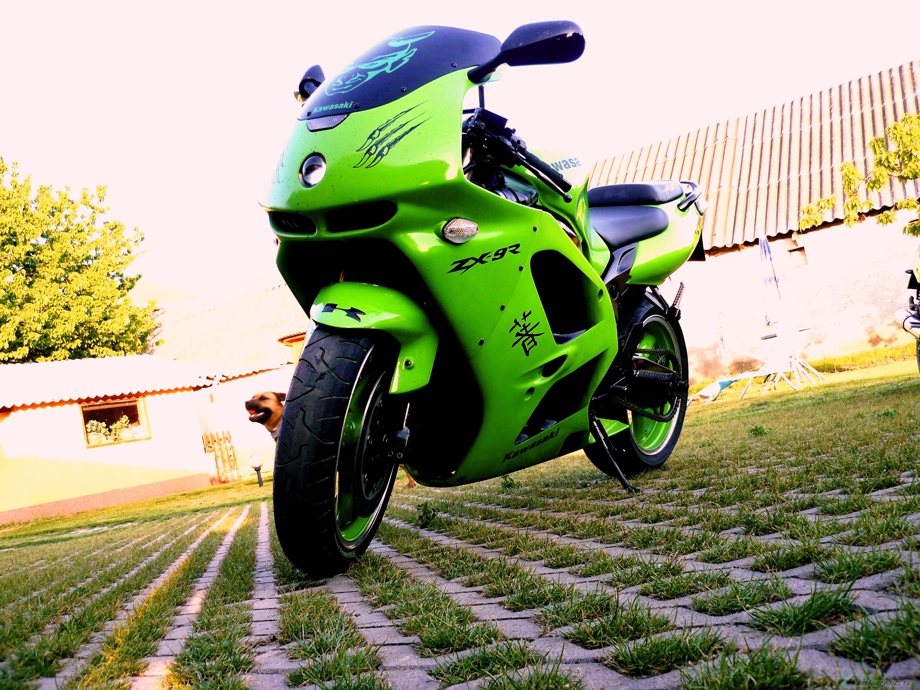 Bike Photo 1964332