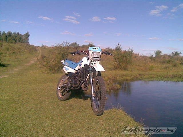 Photo 1964347