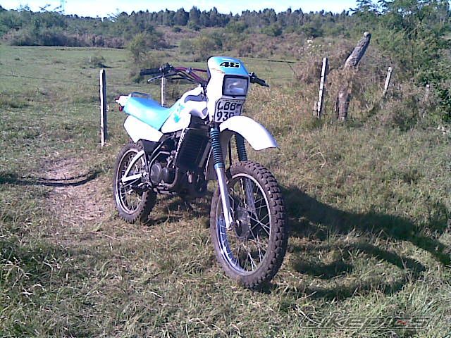 Photo 1964350