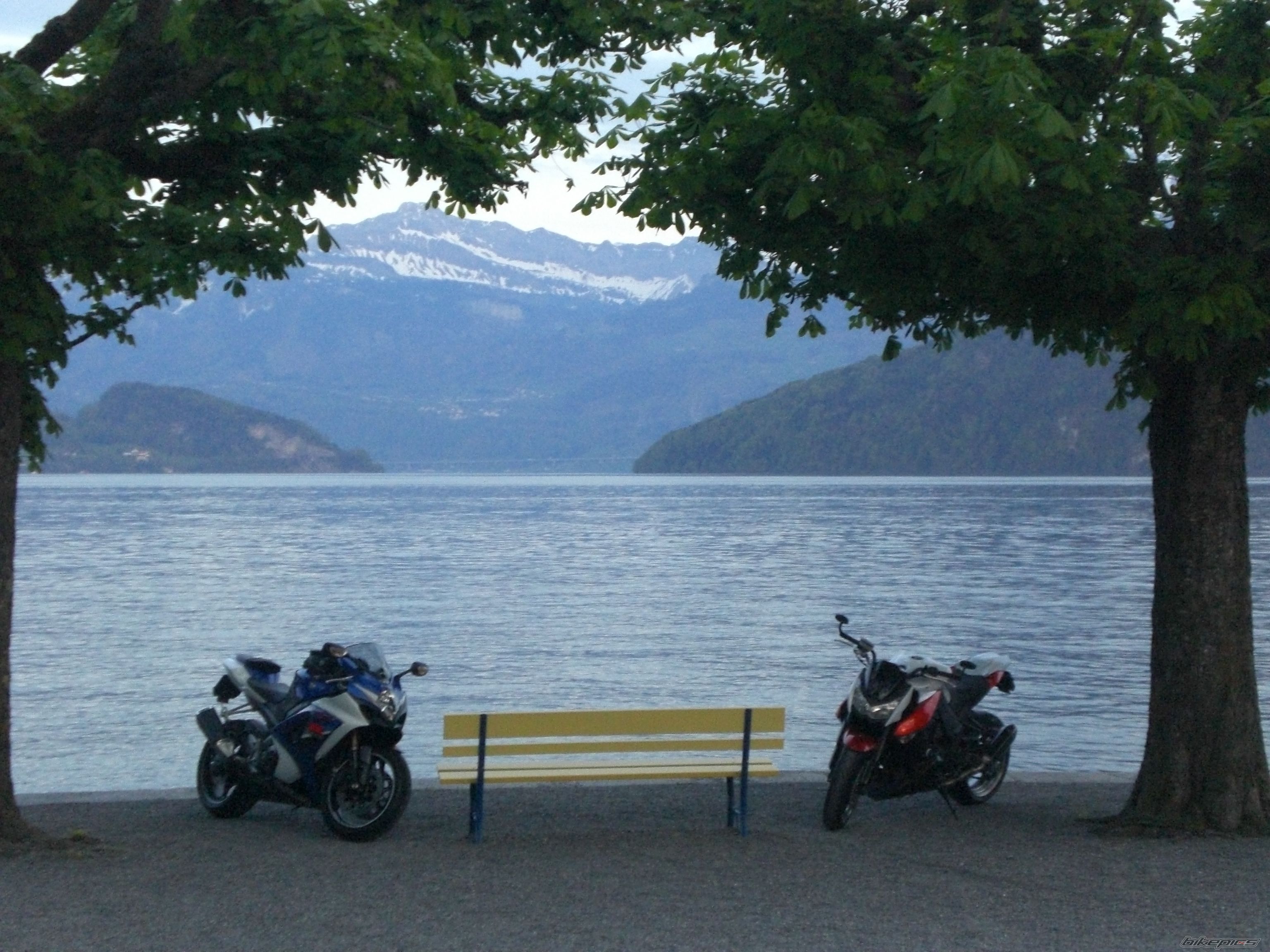 Bike Photo 1964536