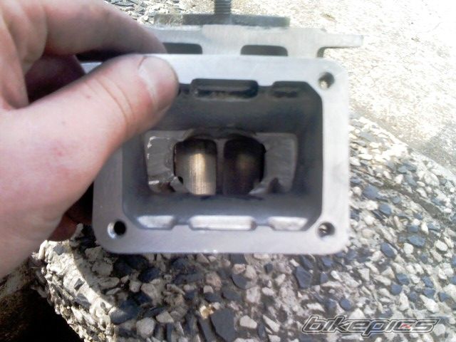 Photo 1964678
