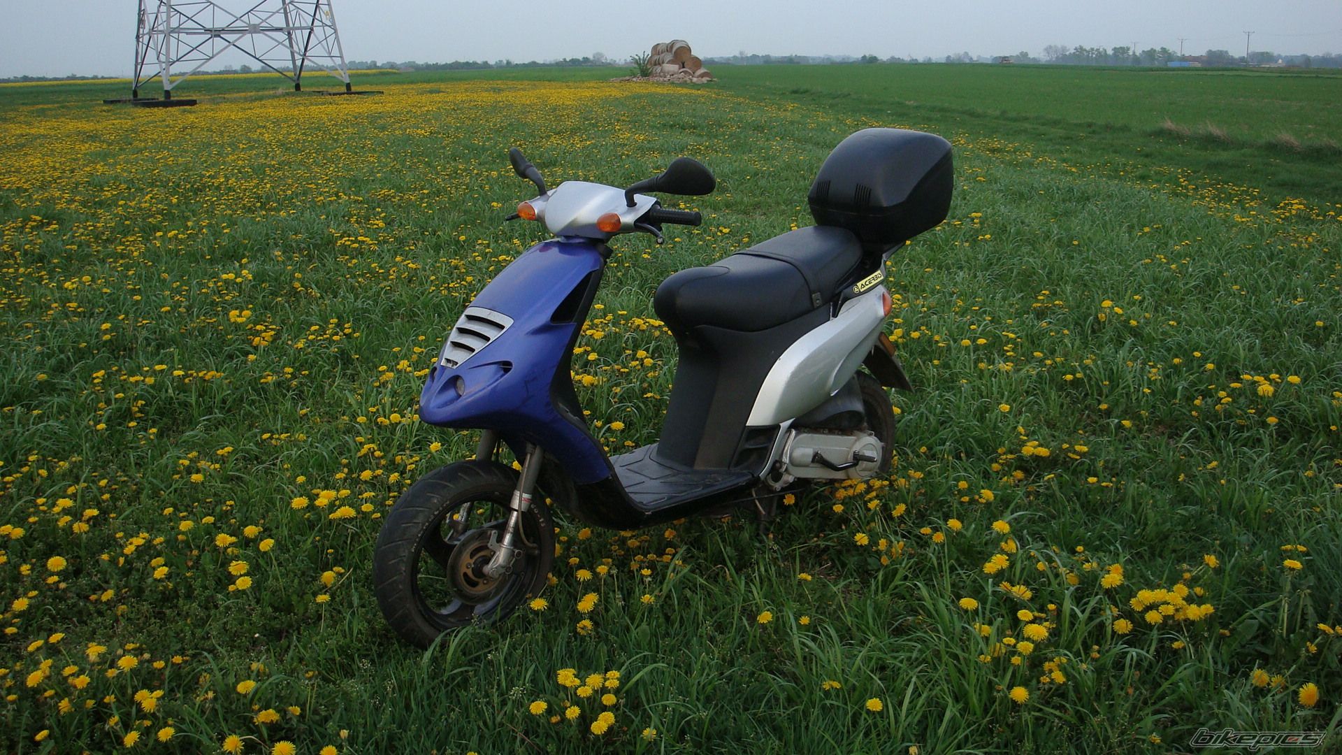 Bike Photo 1964876