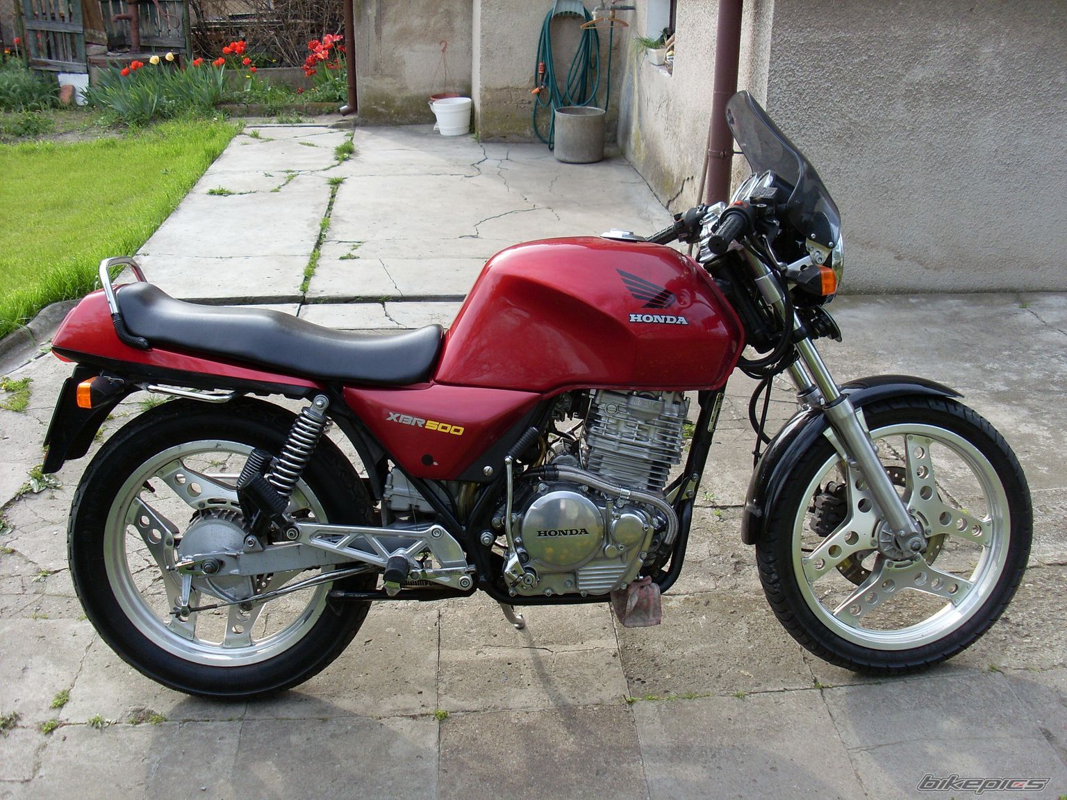 Photo 1965072