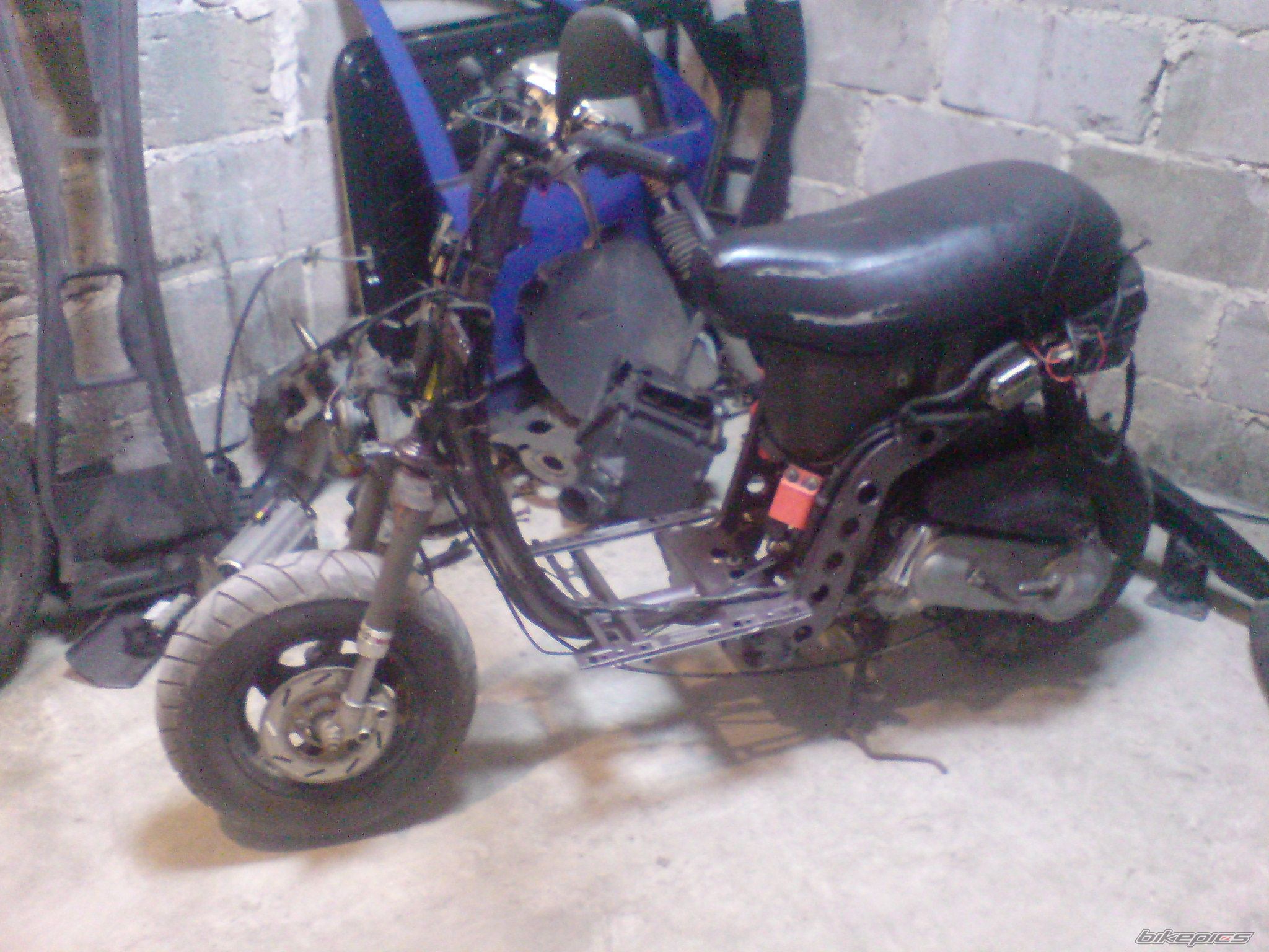 Photo 1965331