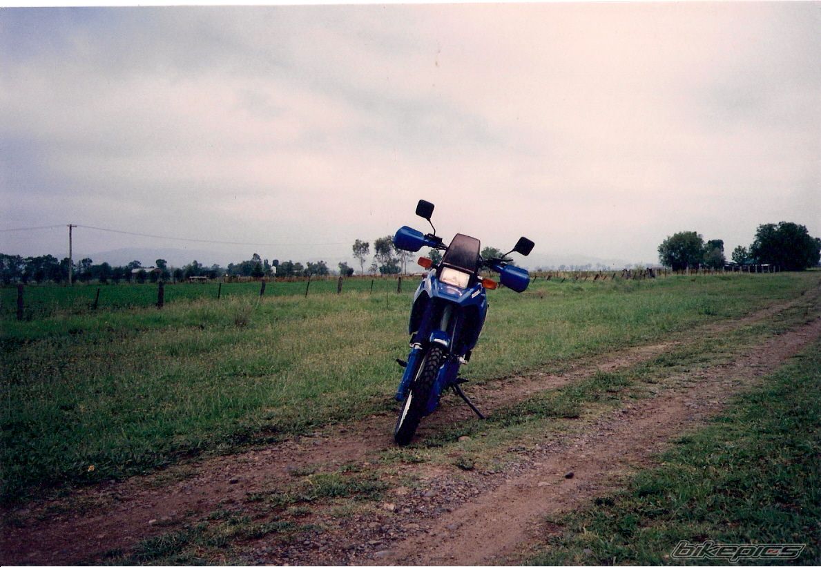 Photo 1965496