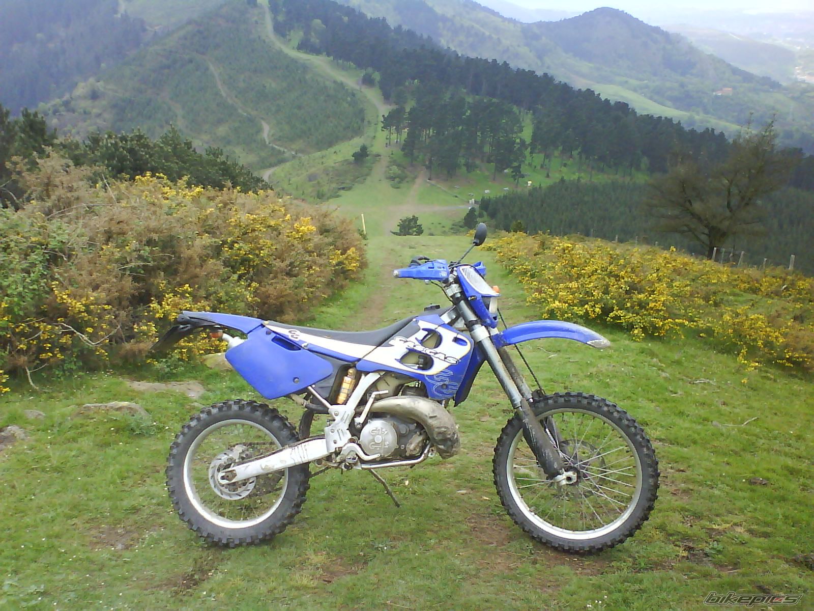 Bike Photo 1965628