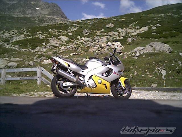 Photo 196573