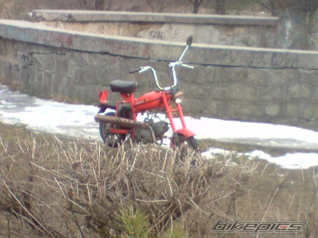 Photo 1965970
