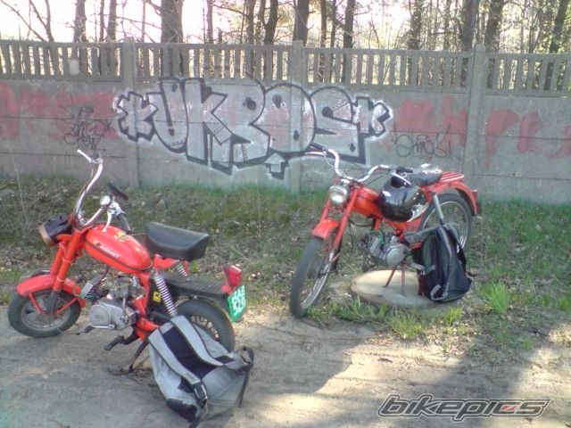 Photo 1965974