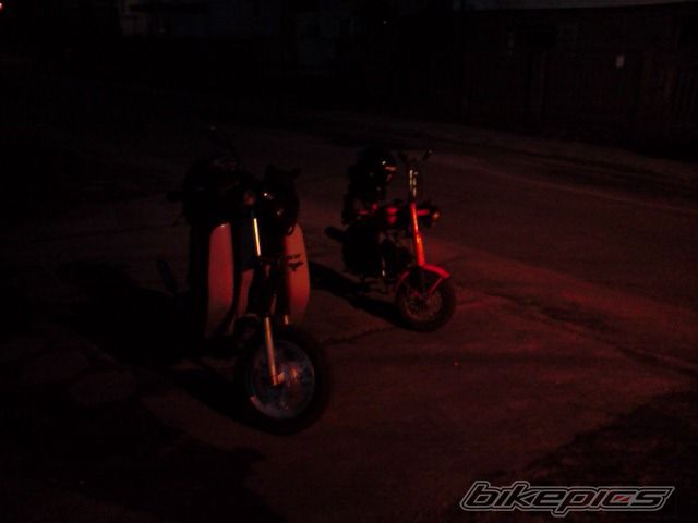Photo 1965977