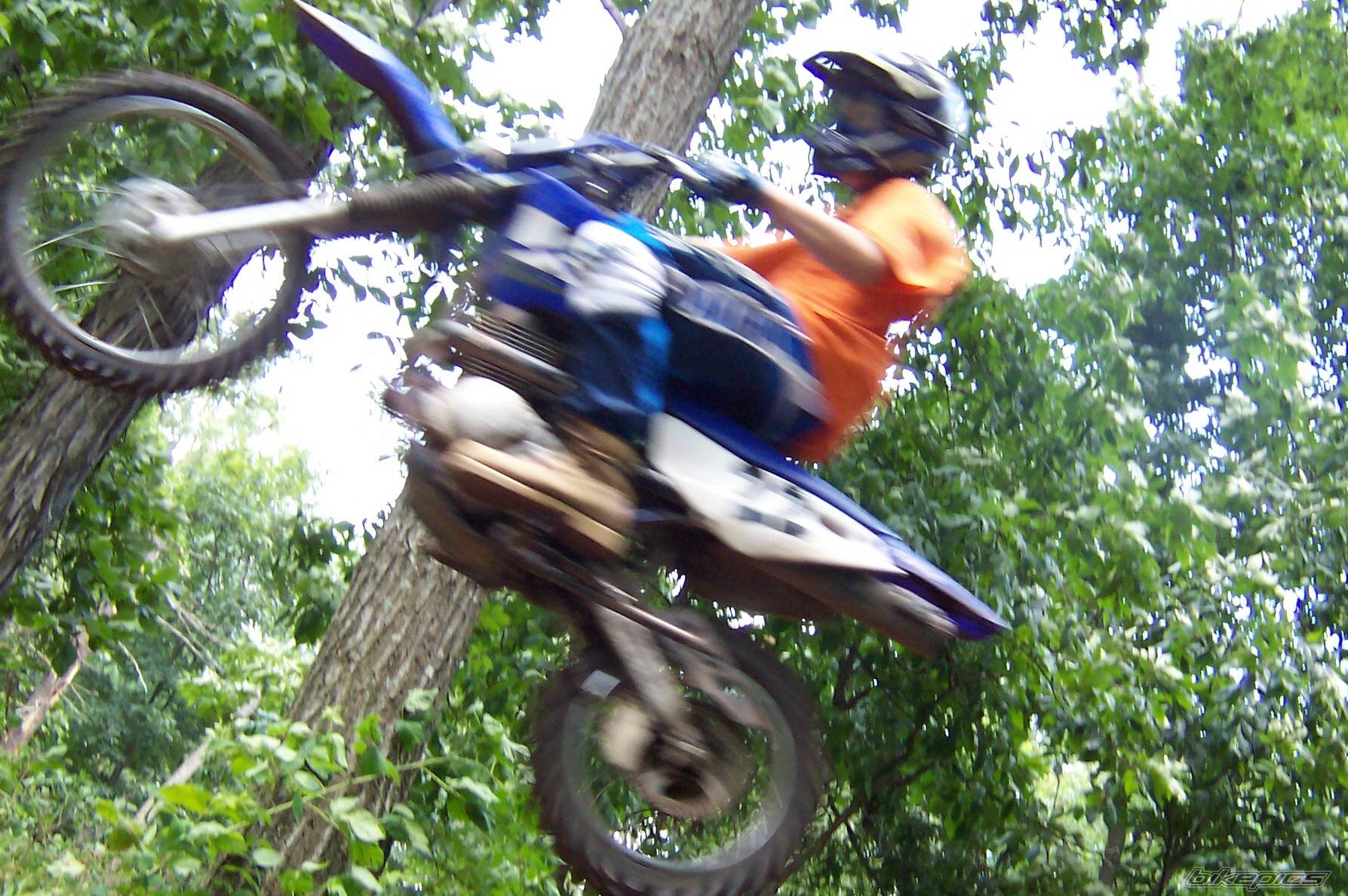 Bike Photo 196599