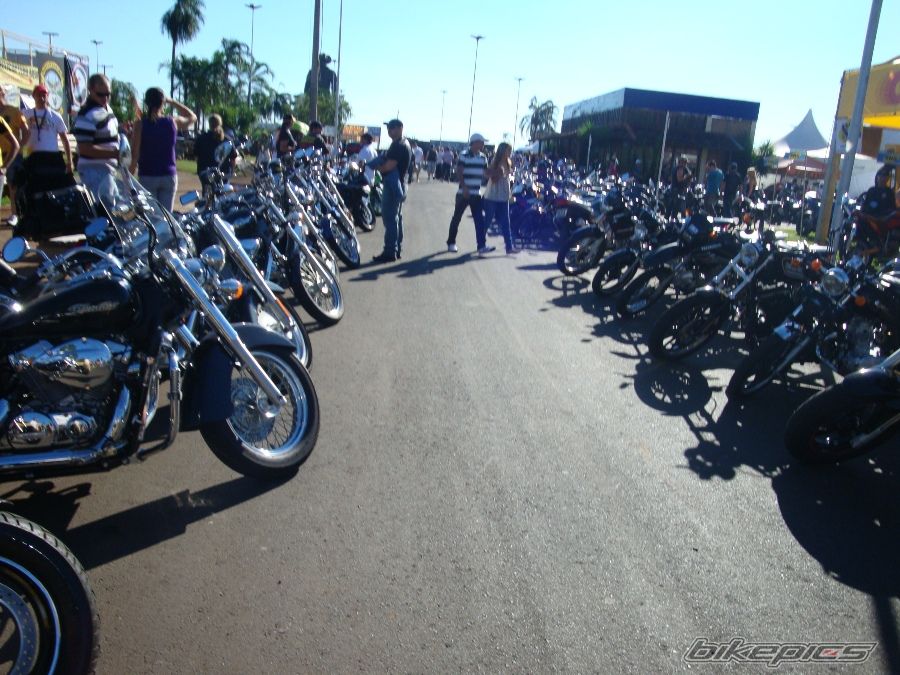 Photo 1966037