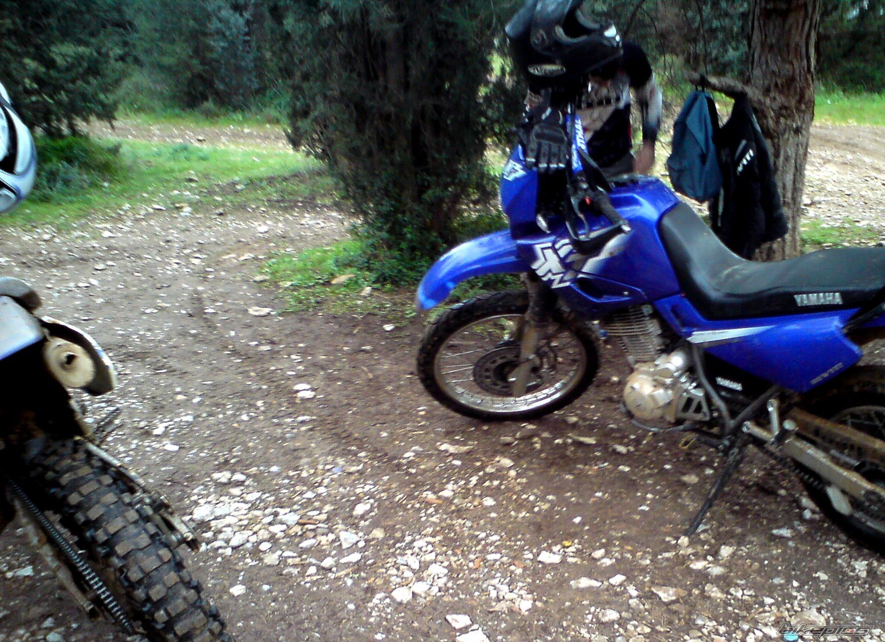 Photo 1966287