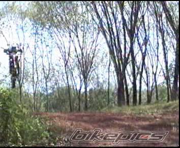 Photo 196653