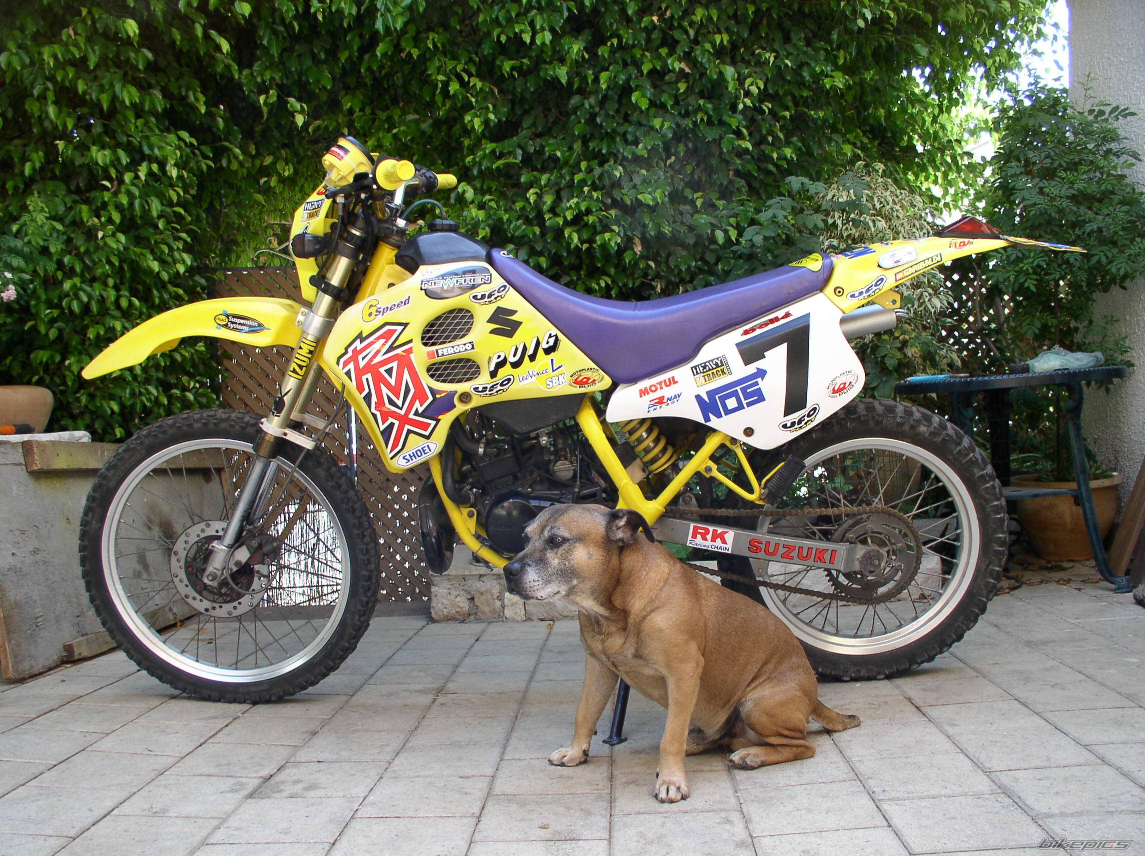 Bike Photo 196659
