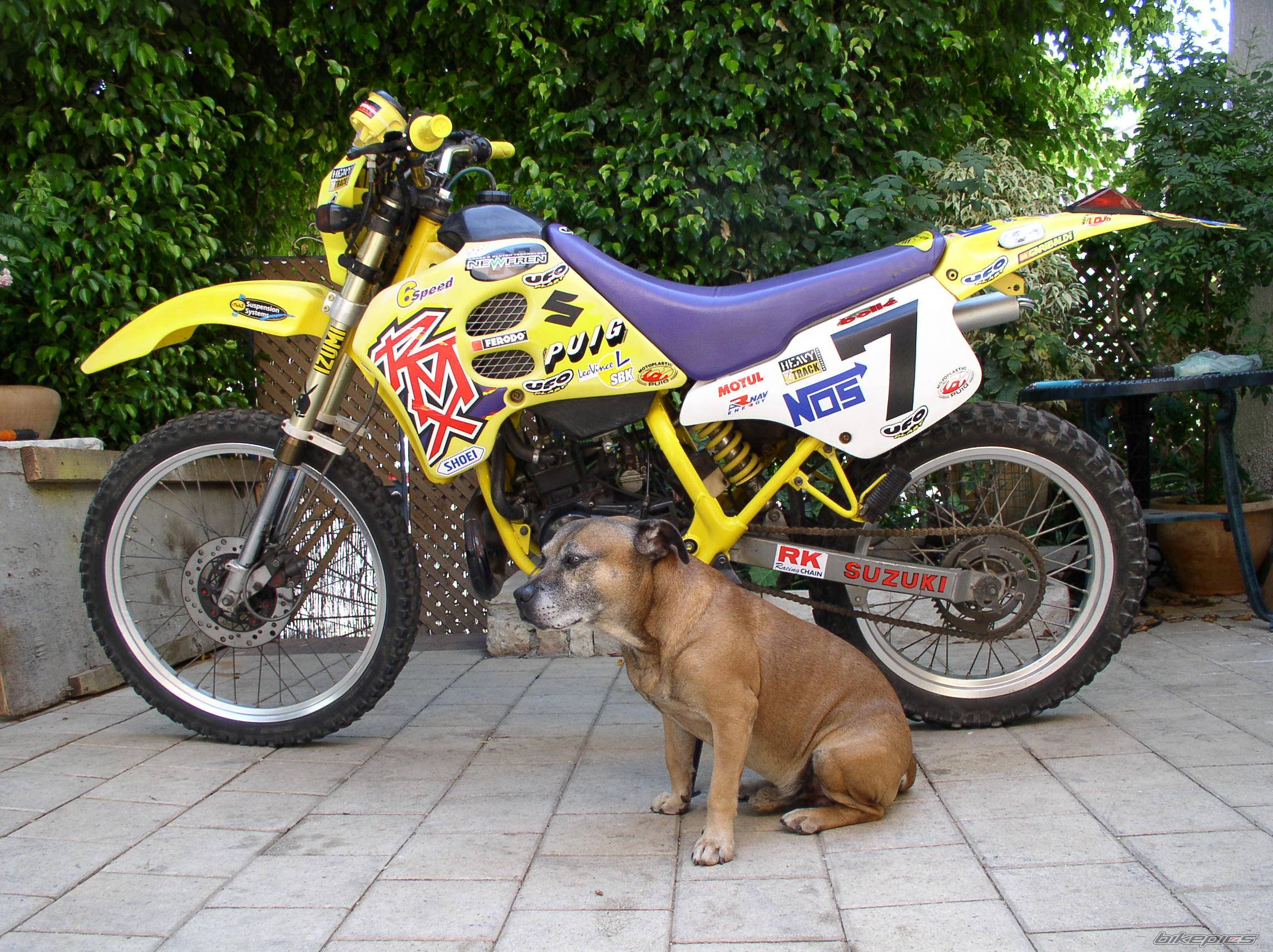 Bike Photo 196663