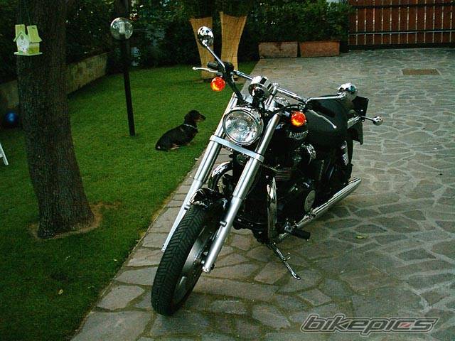 Photo 196667