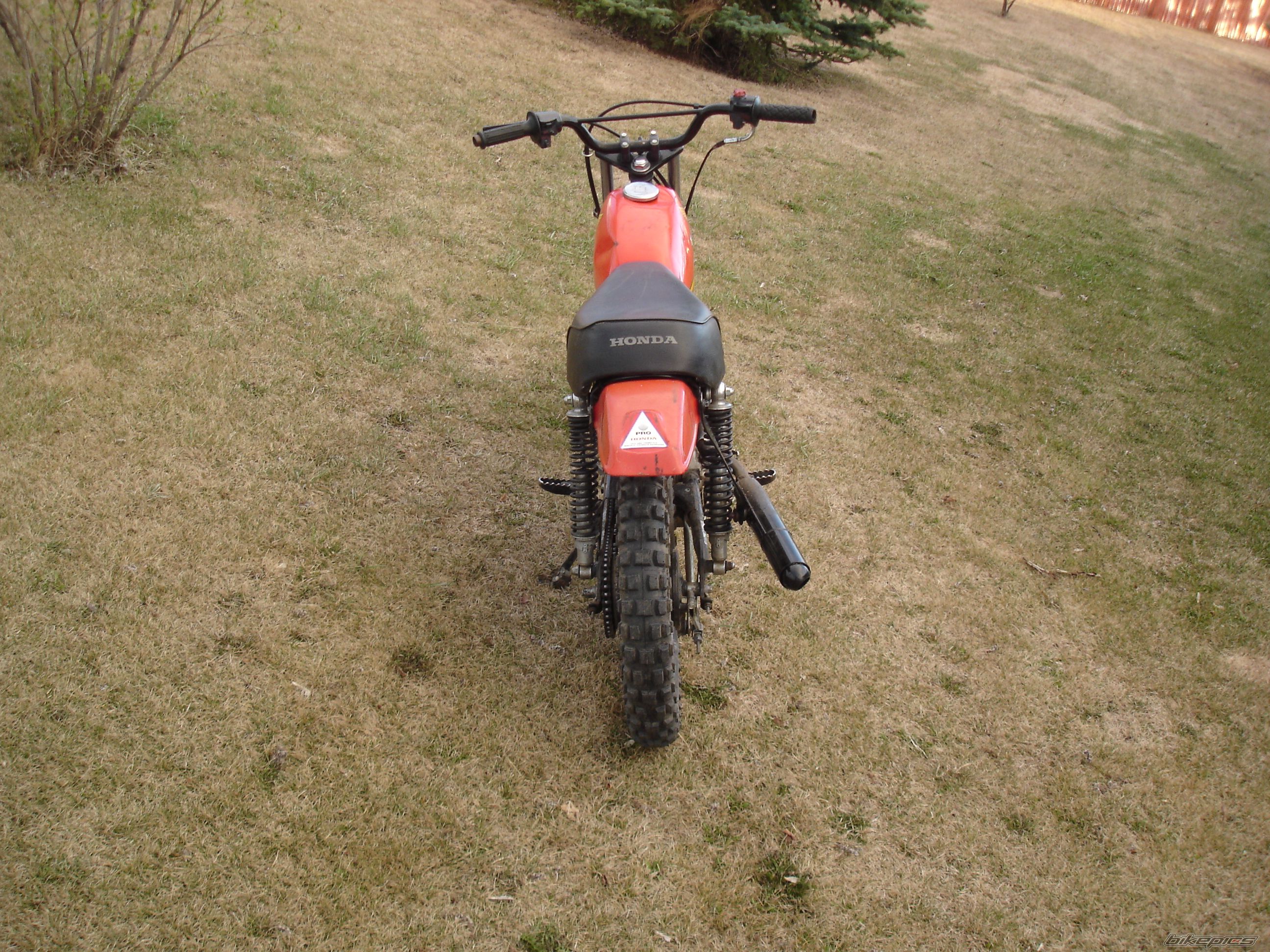Bike Photo 1966873