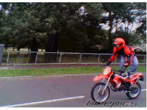 Photo 196710