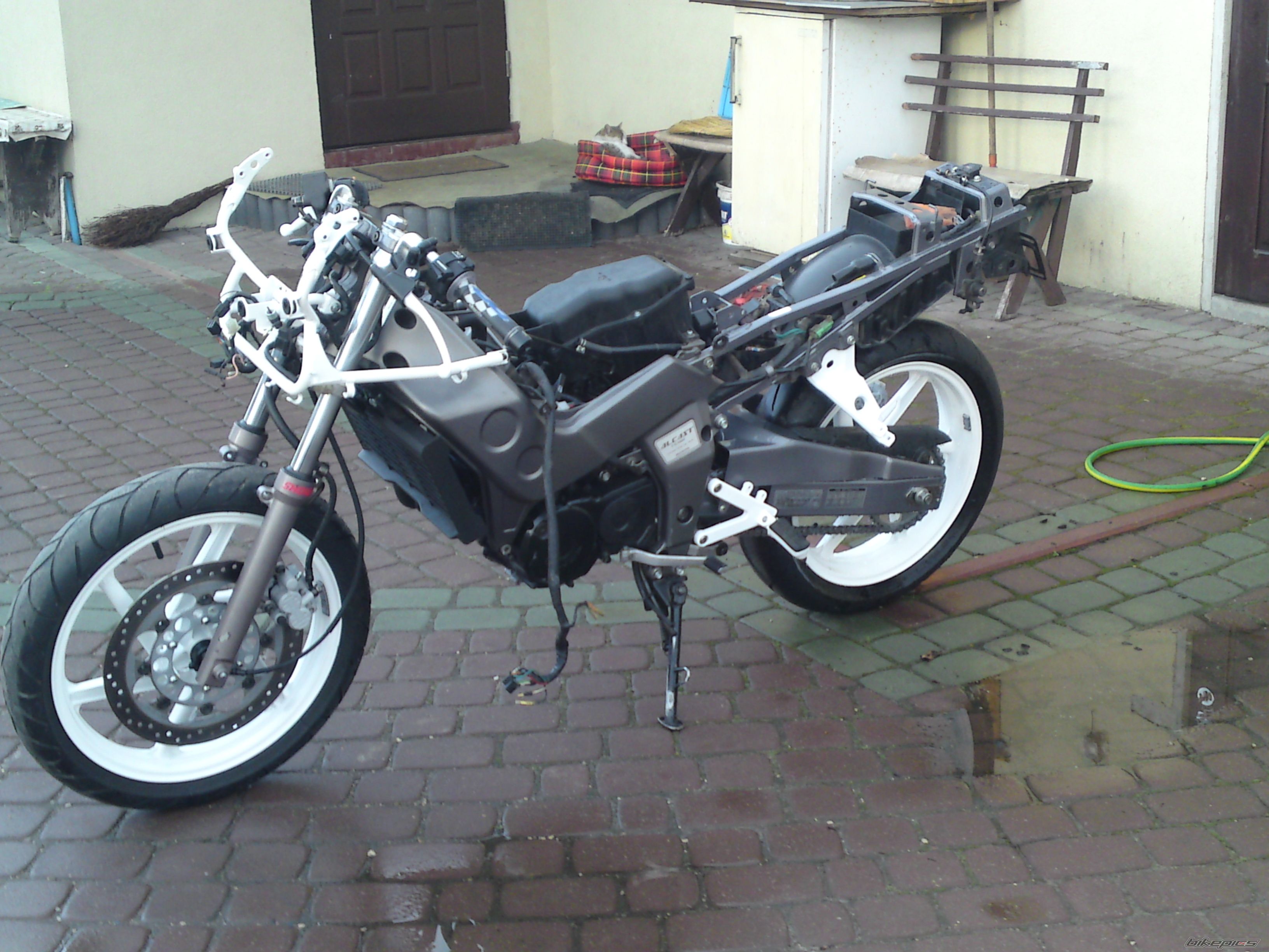 Photo 1967170