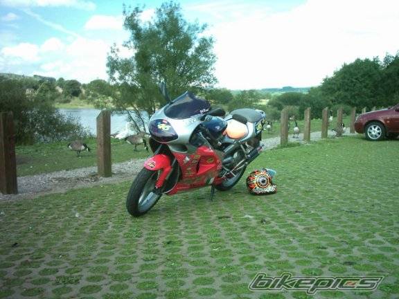 Bike Photo 196718