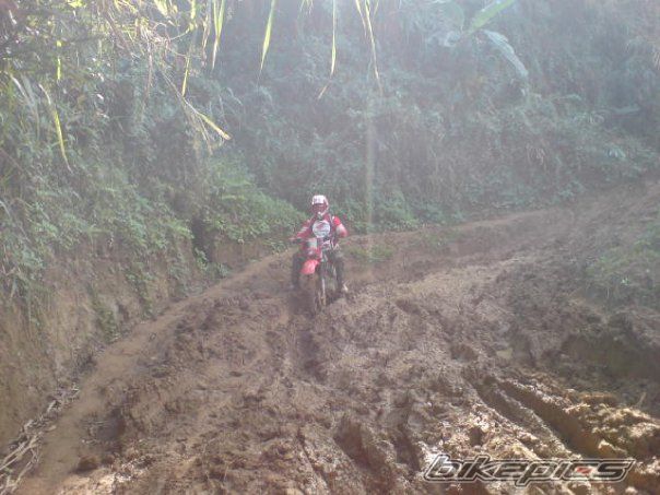 Photo 1967205