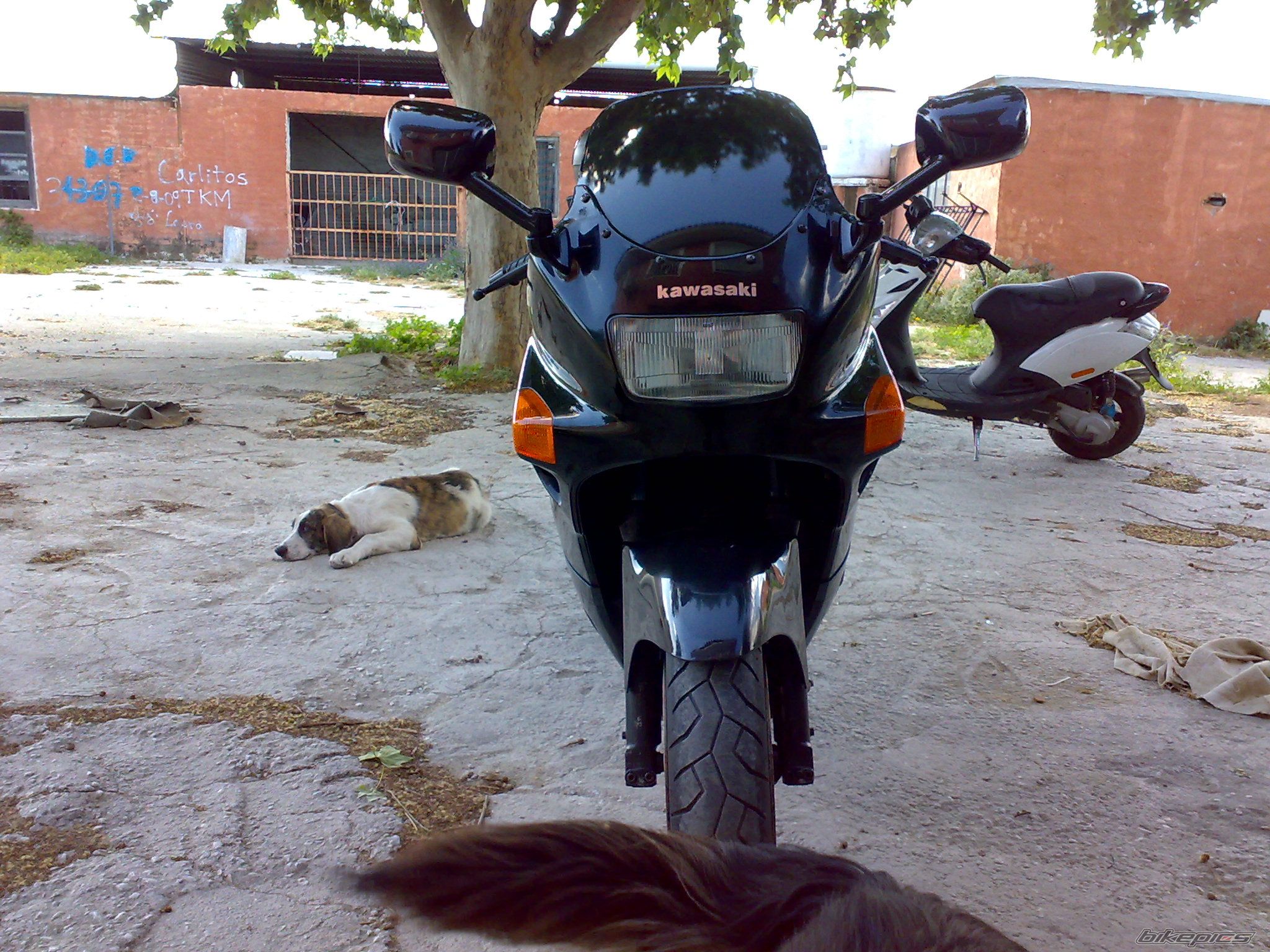 Bike Photo 1967206