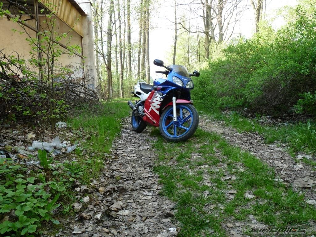Photo 1967282