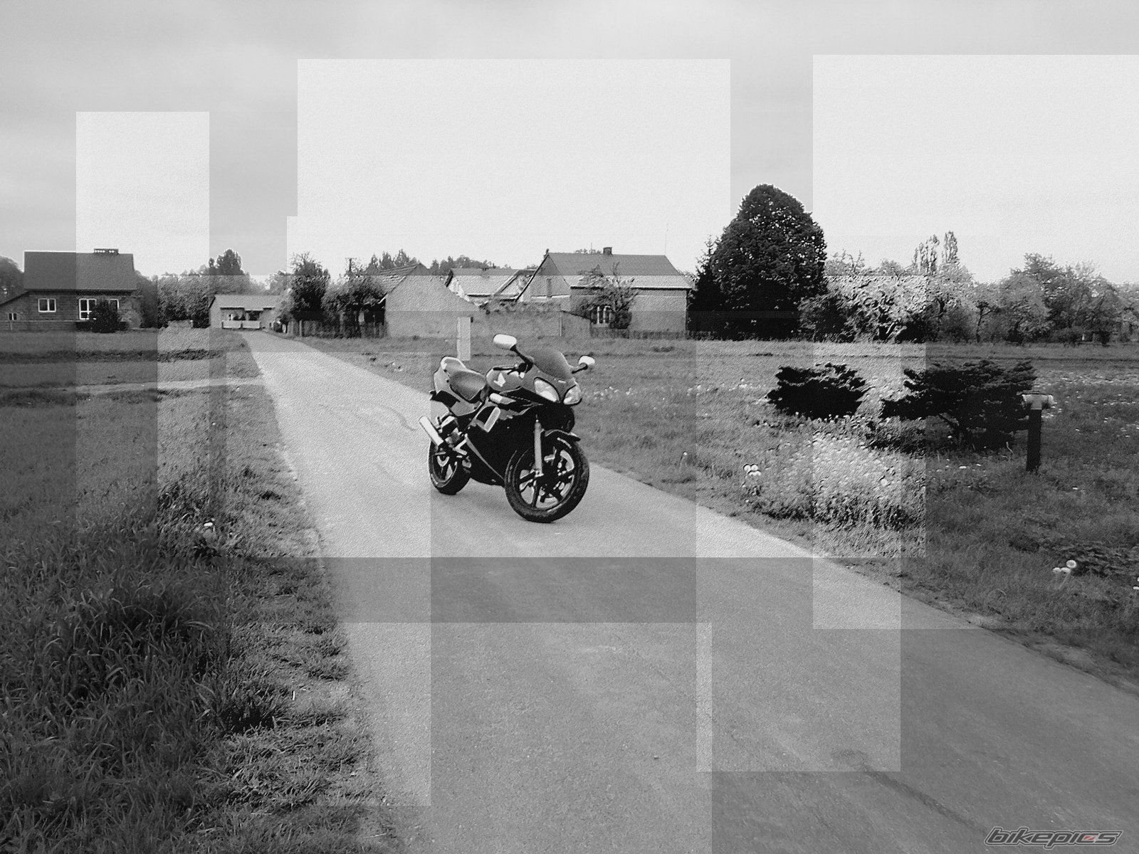 Bike Photo 1967286