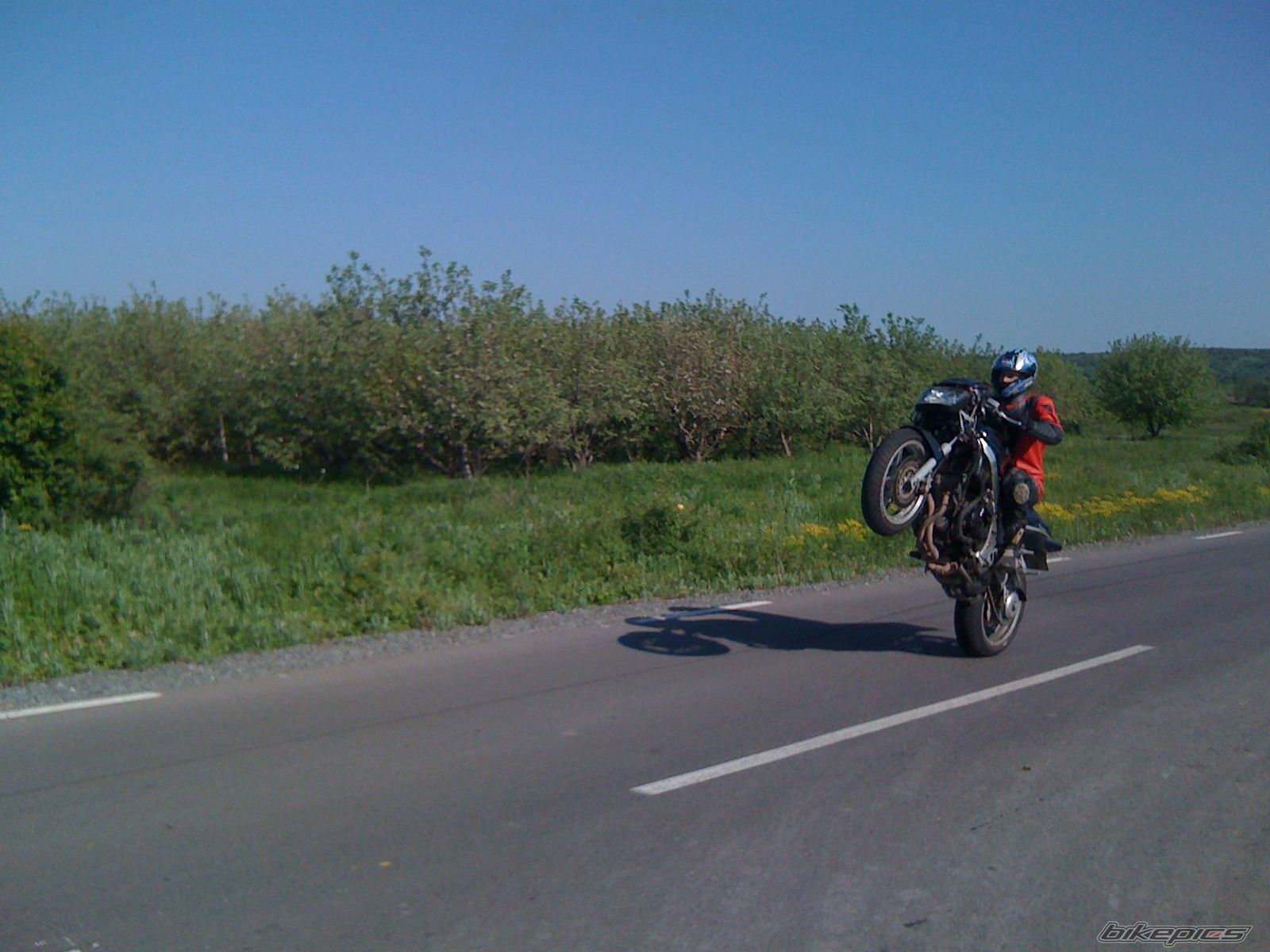 Photo 1967335