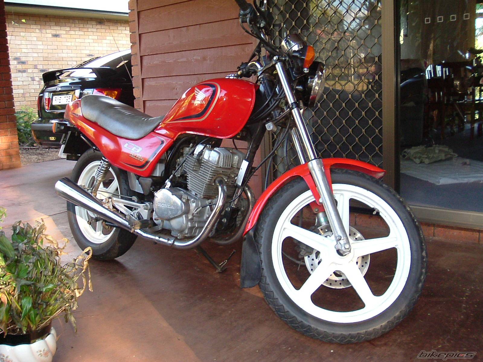 Photo 196738