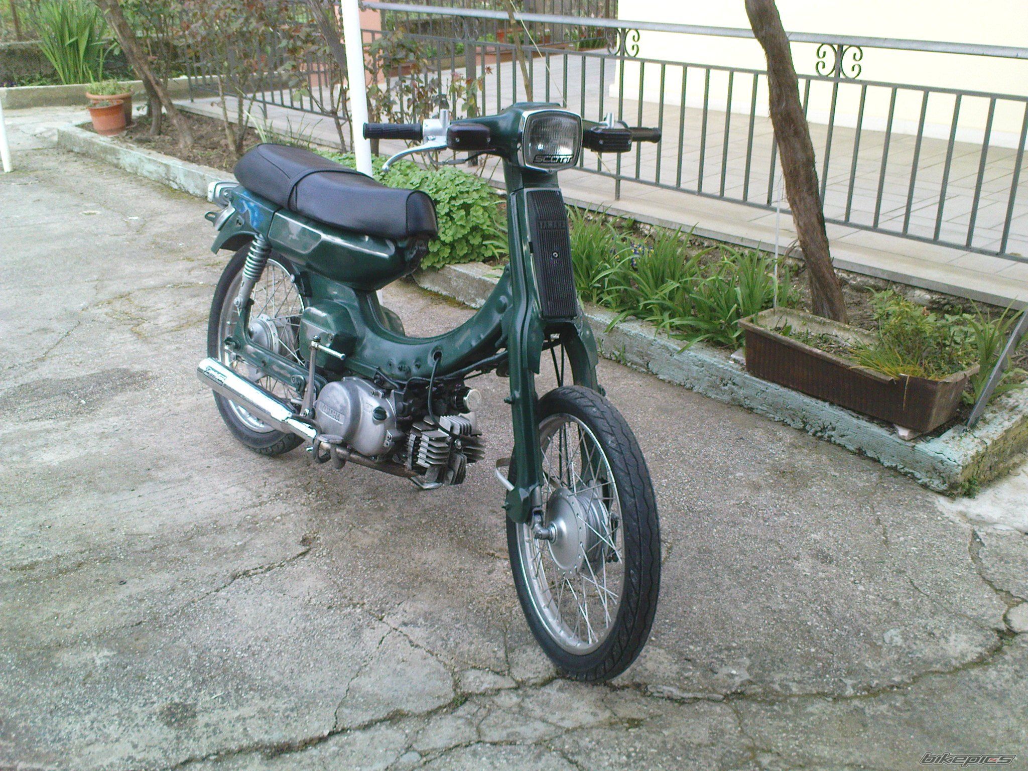 Photo 1967576