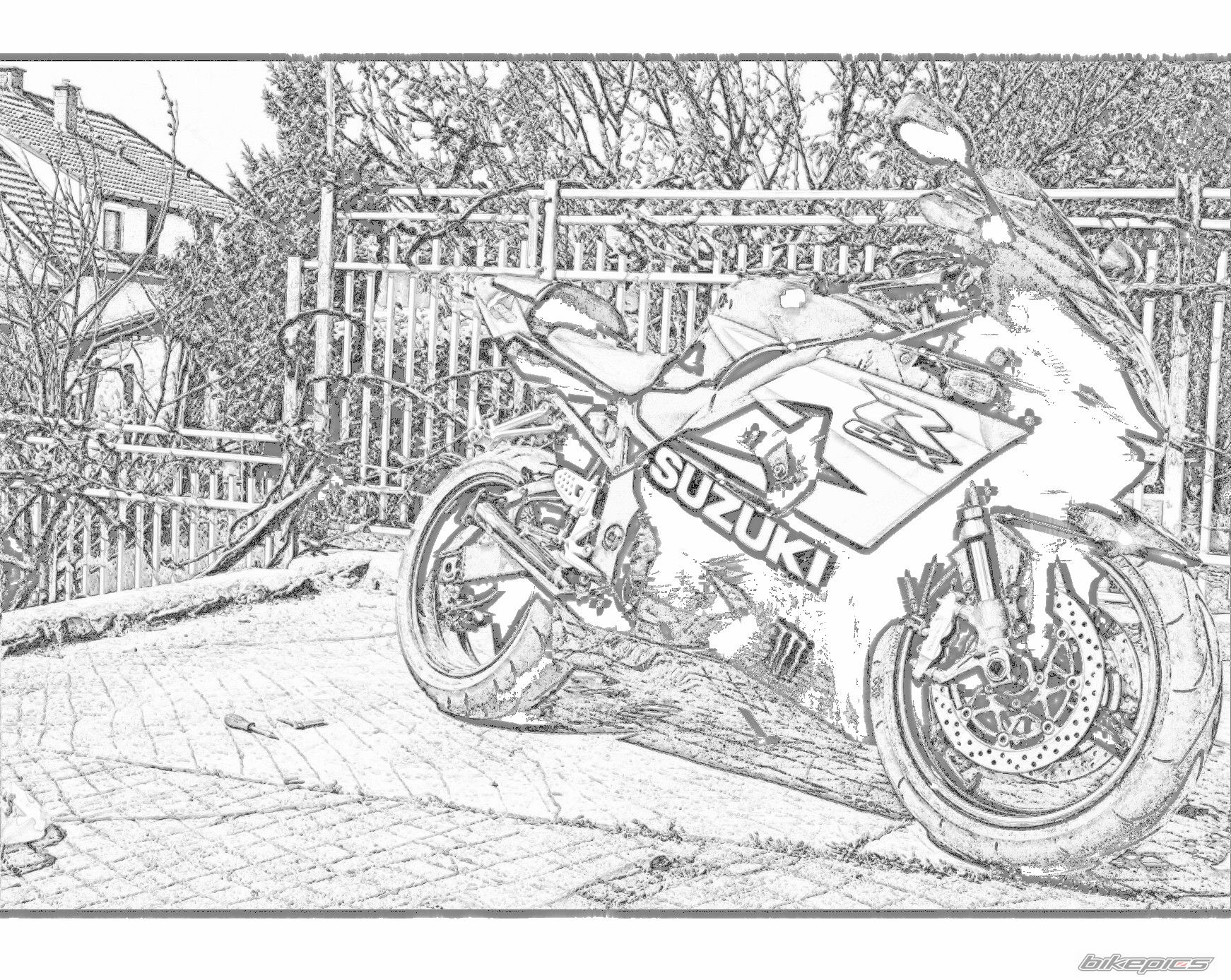 Bike Photo 1967930