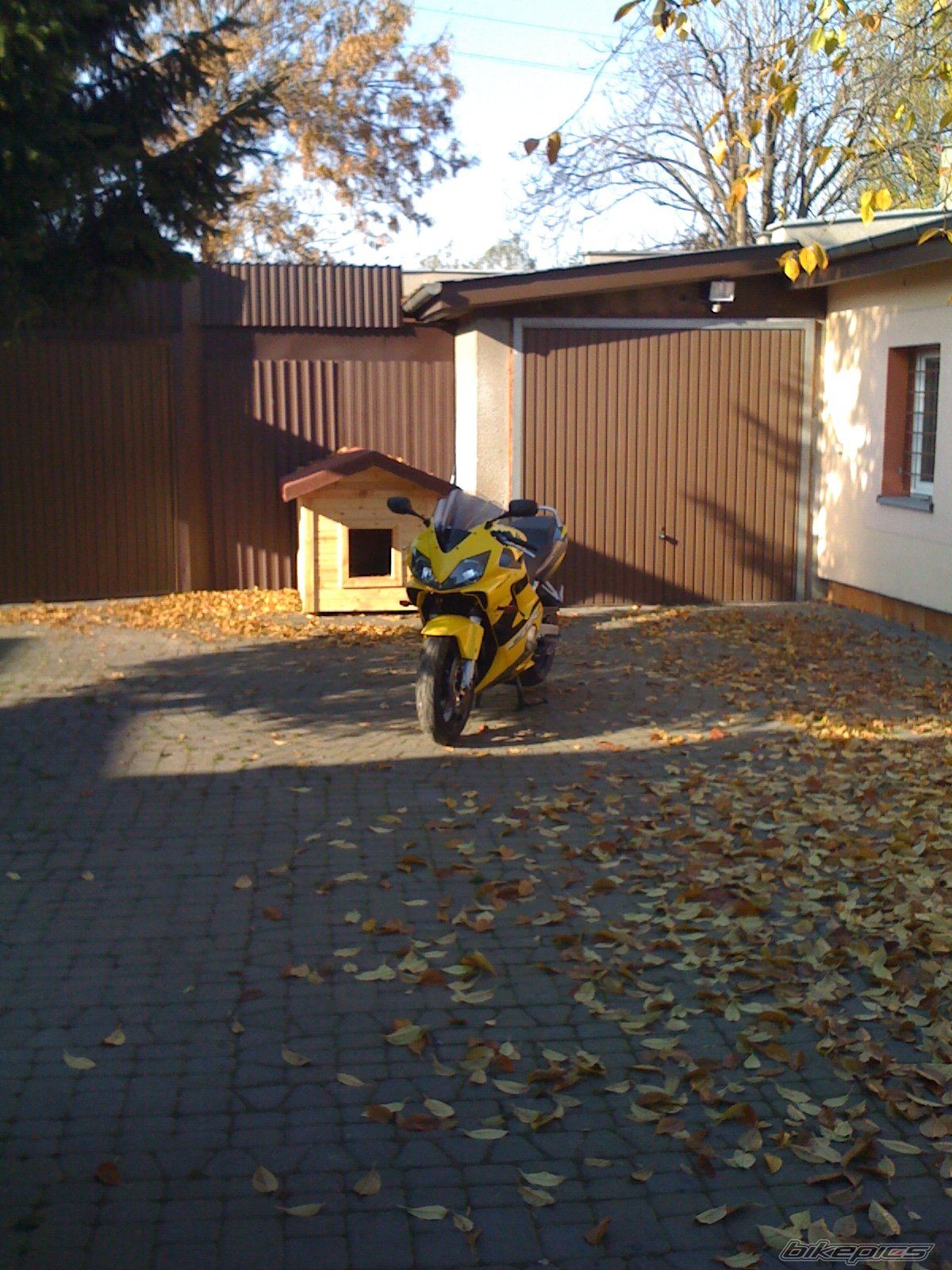 Bike Photo 1968117