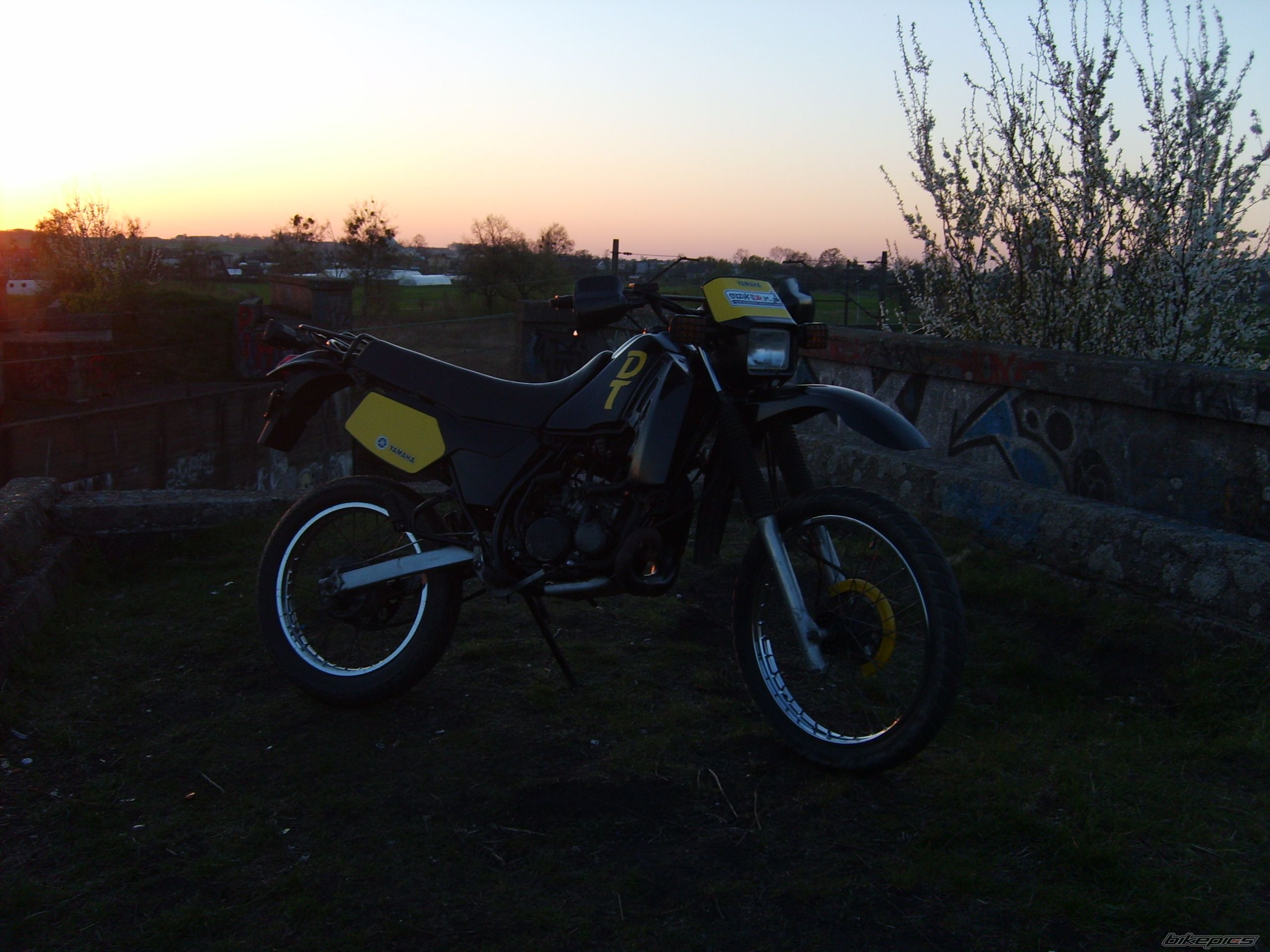 Photo 1968769