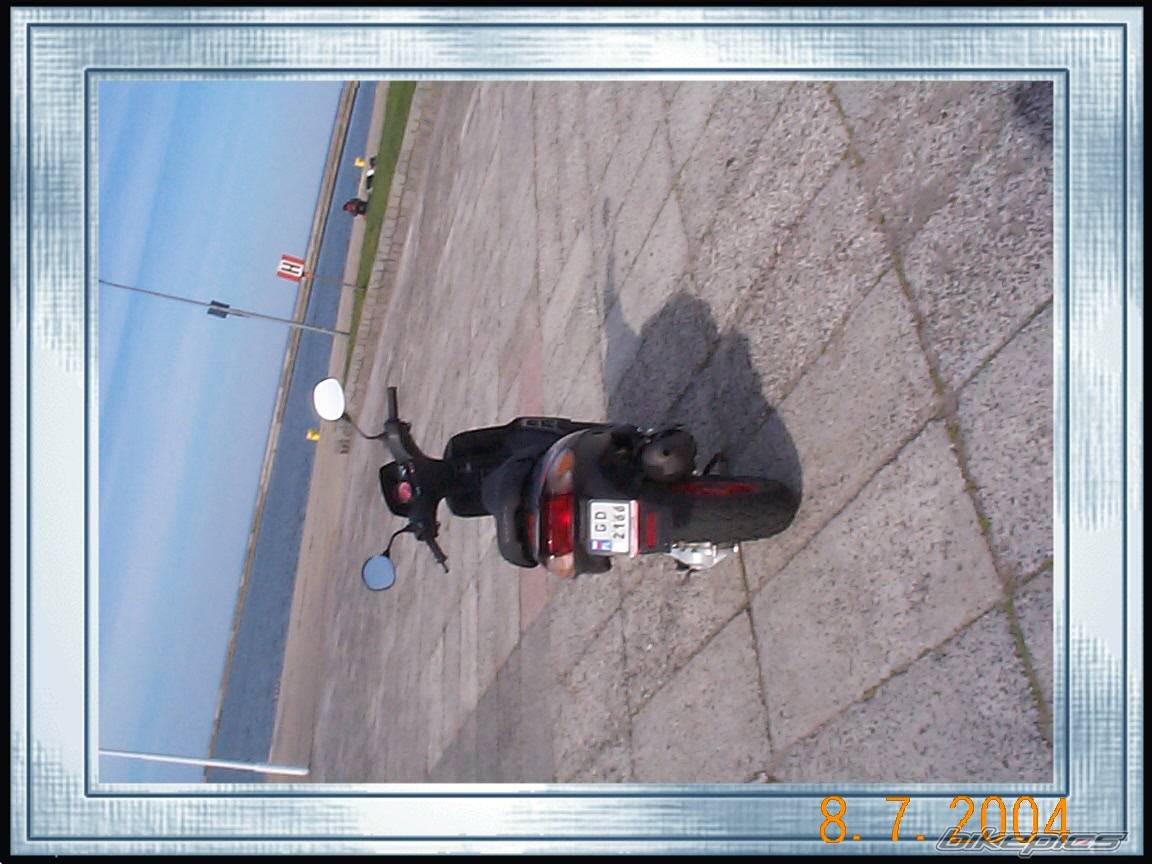 Photo 196881