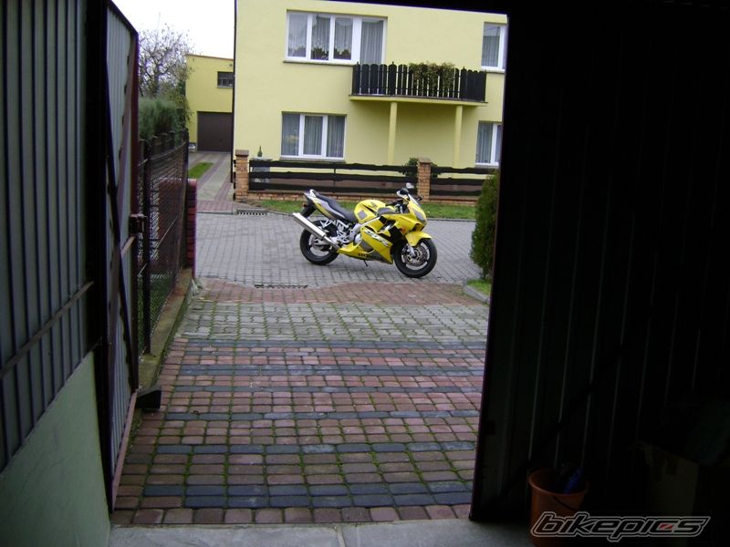Photo 1968871