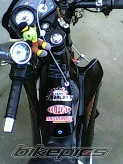 Photo 1969075