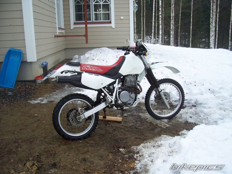 Photo 1969120