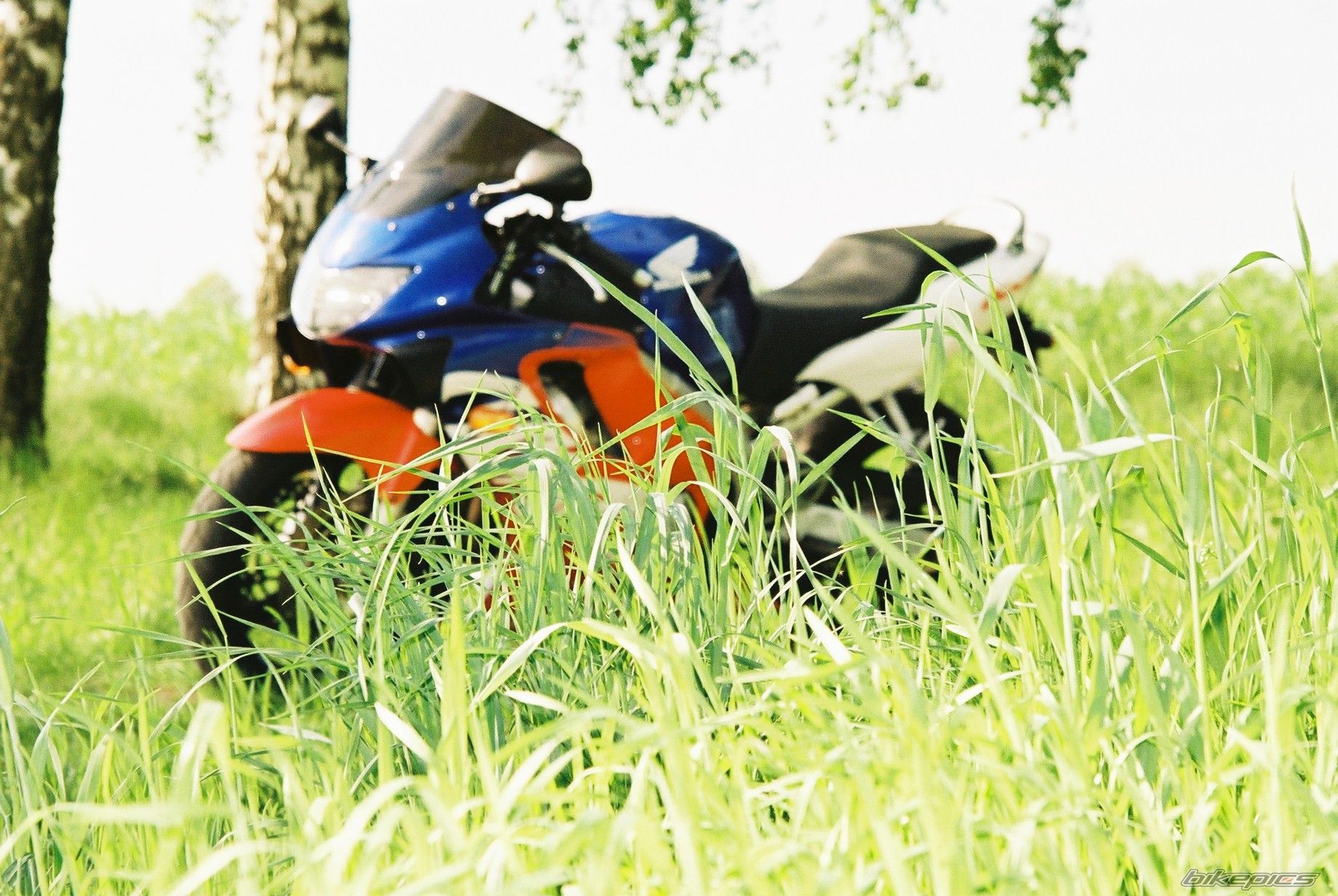 Bike Photo 1969347