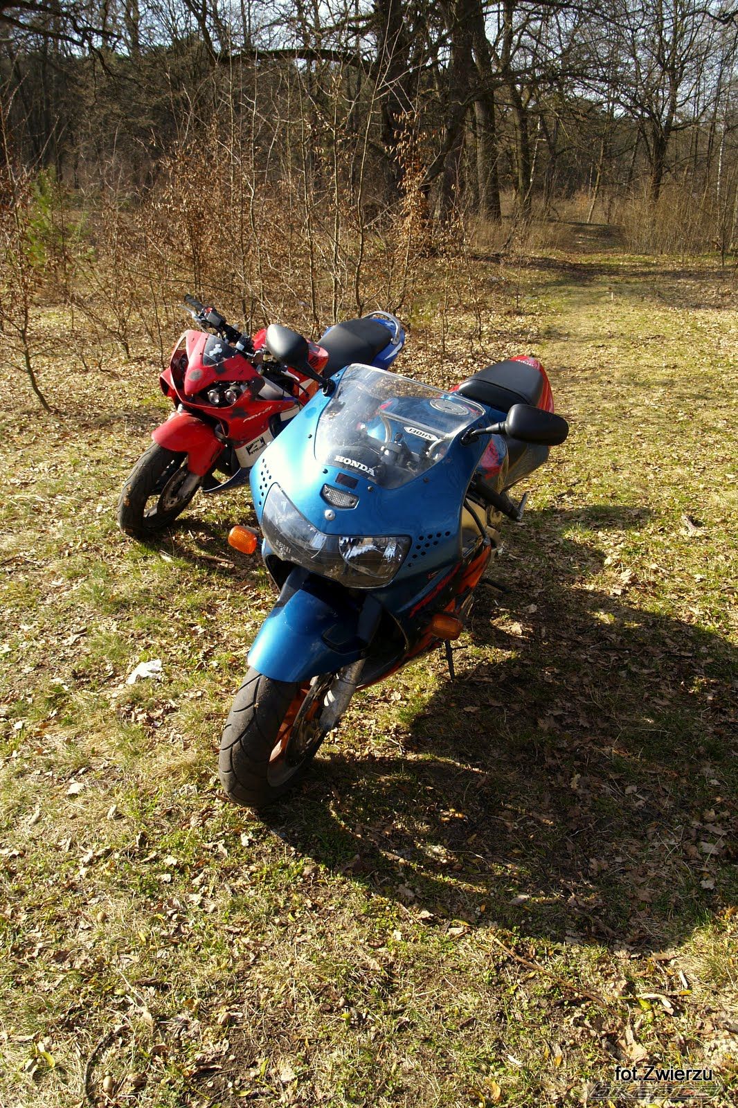 Photo 1969387