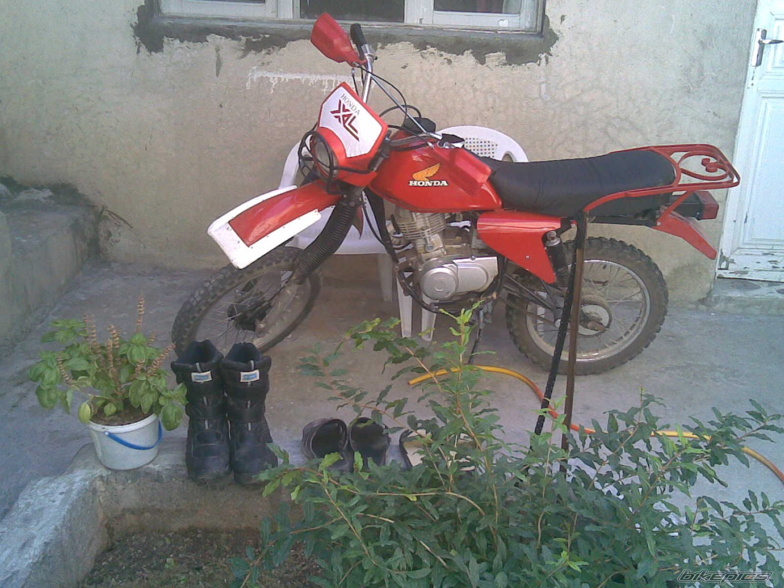 Bike Photo 1969409