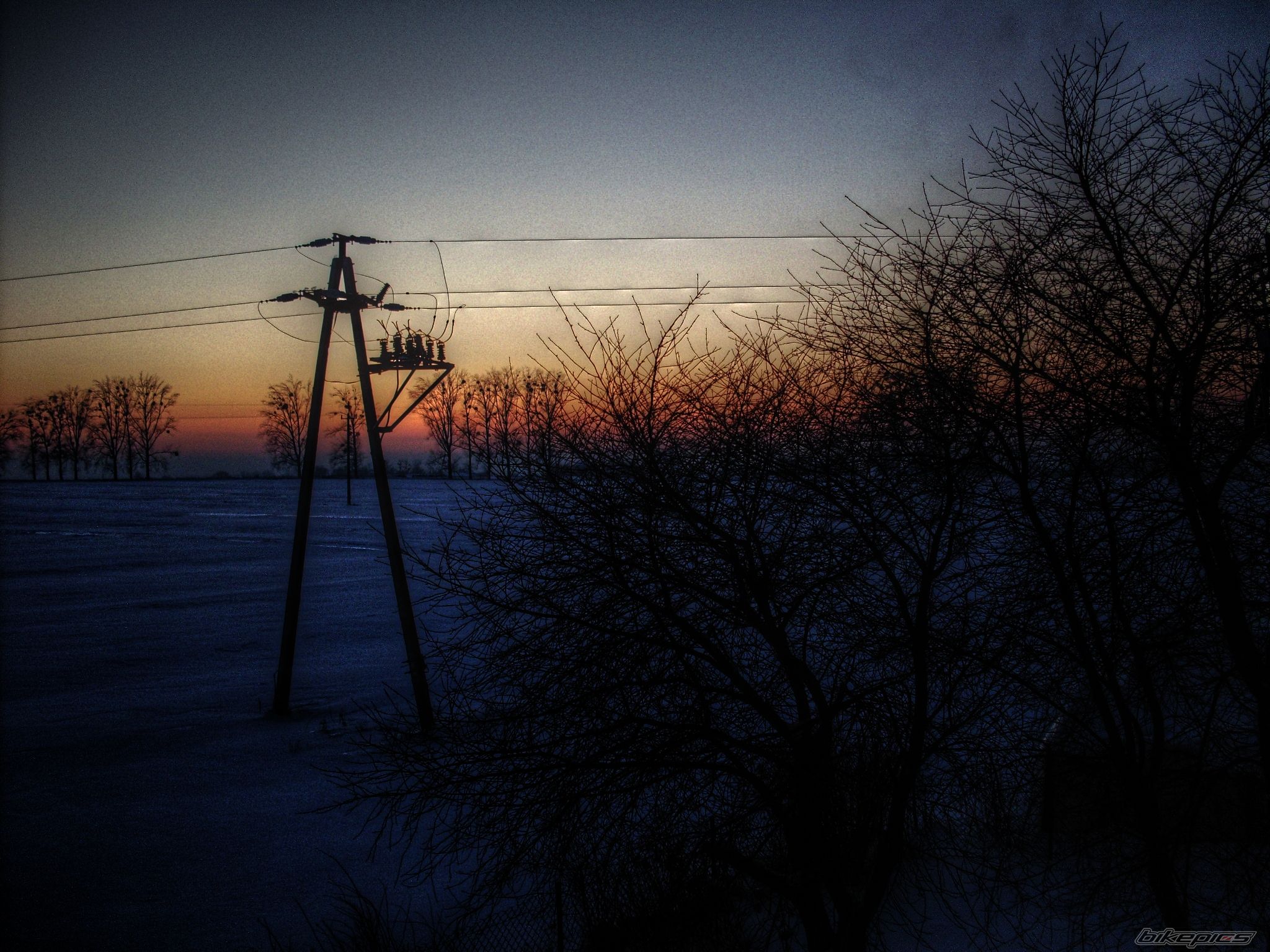 Photo 1969421