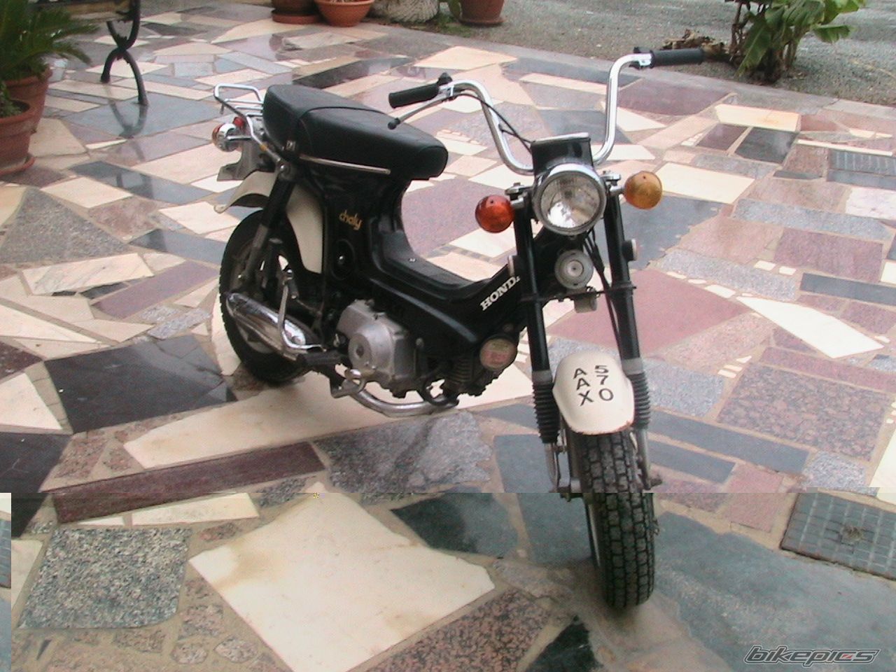 Photo 1969431
