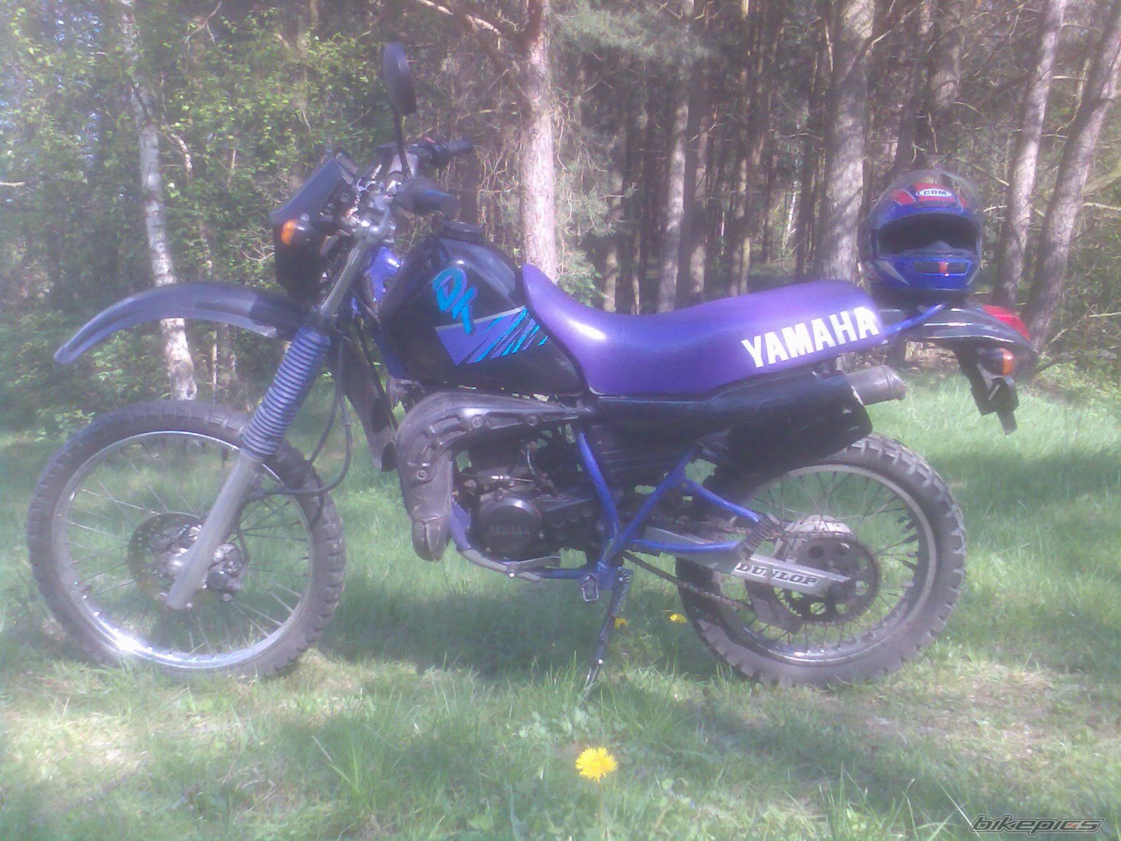 Photo 1969454