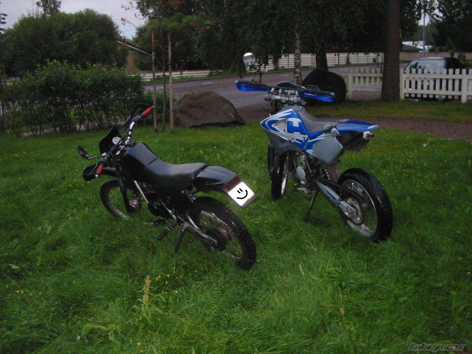 Photo 196961