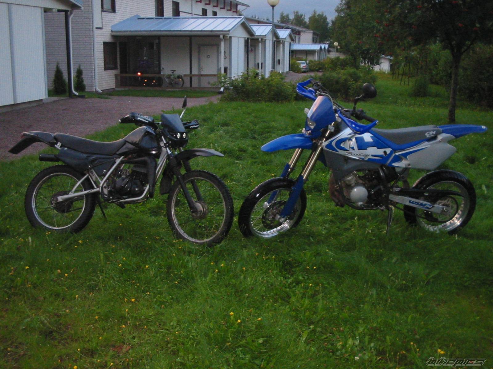 Photo 196969